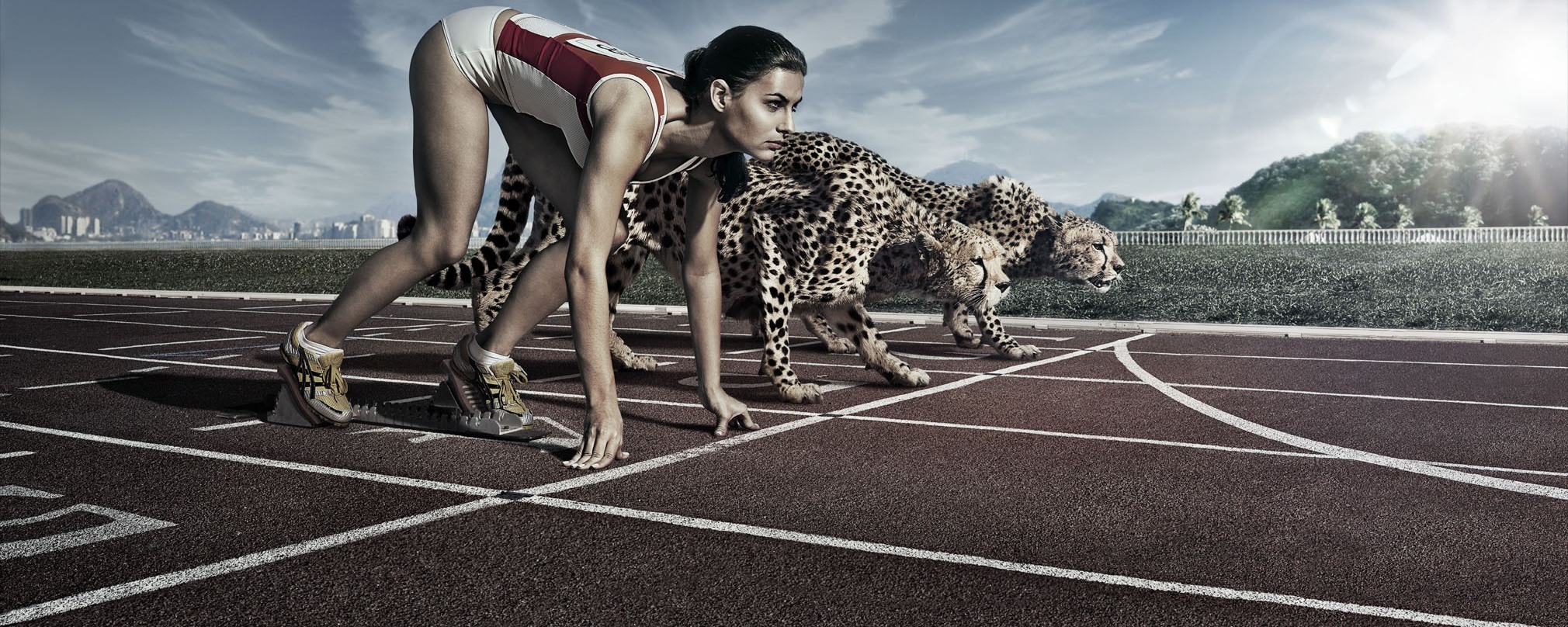 high-performance - 360 Adept